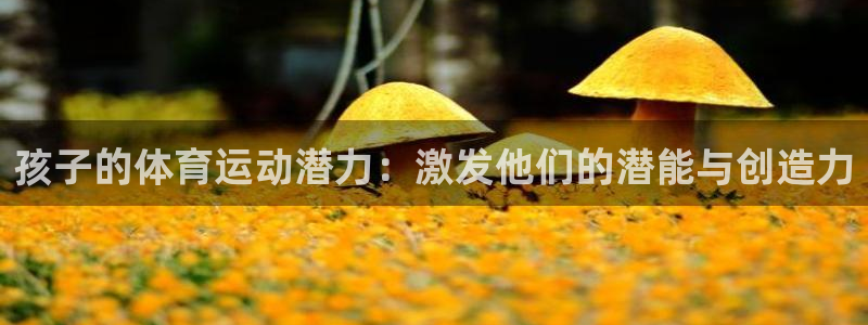 7m体育篮球比分网