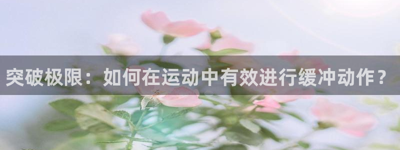 7m体育官网