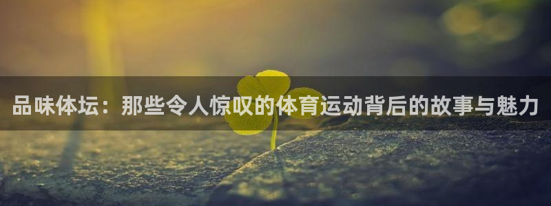 7m体育官网：品味体坛：那些令人惊叹的体育运动背后的故事与魅力