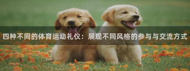 7m体育篮球：四种不同的体育运动礼仪：展现不同风格的参与与交流方式
